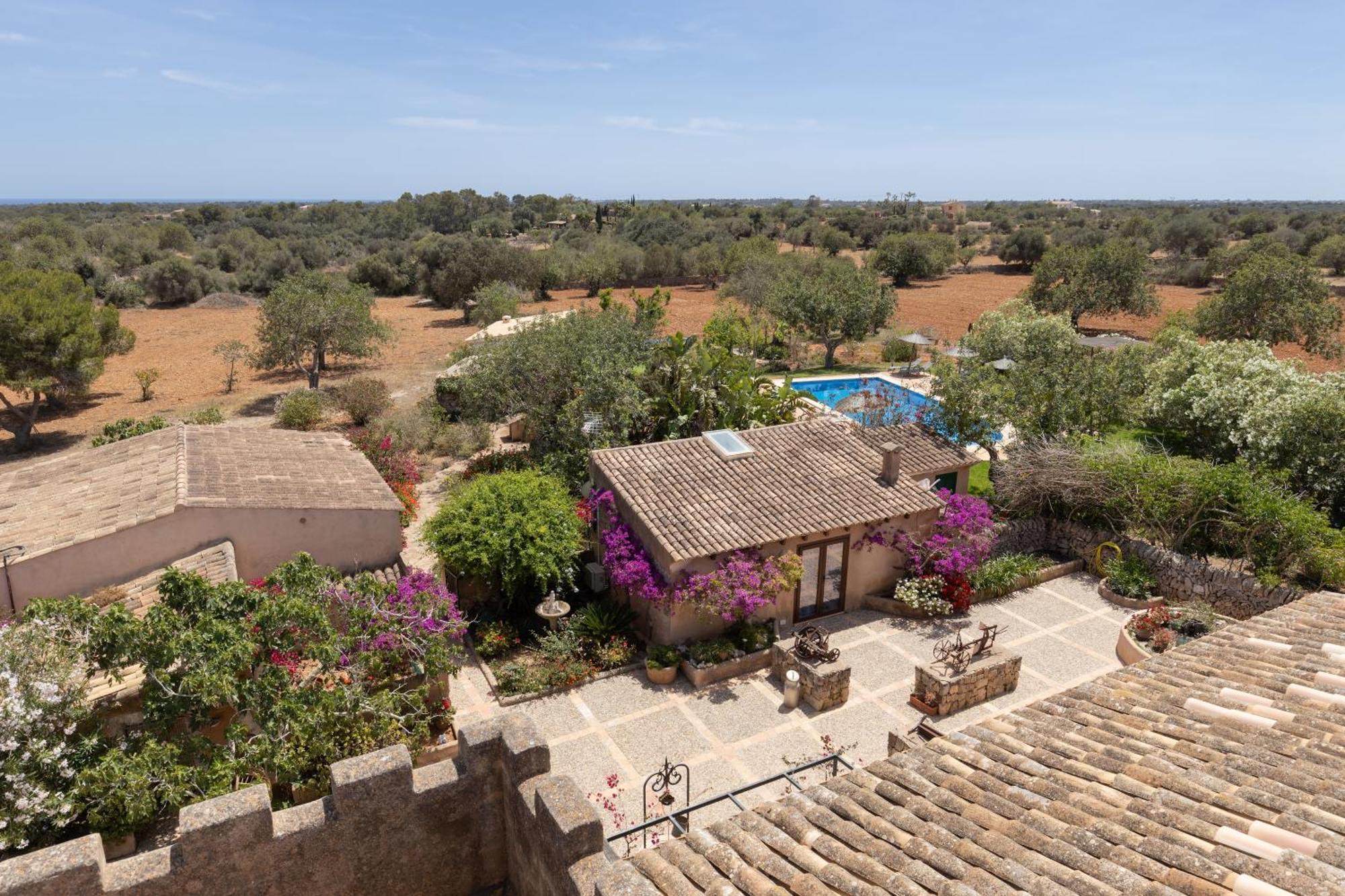 Superior Double Room Terrace Garden View