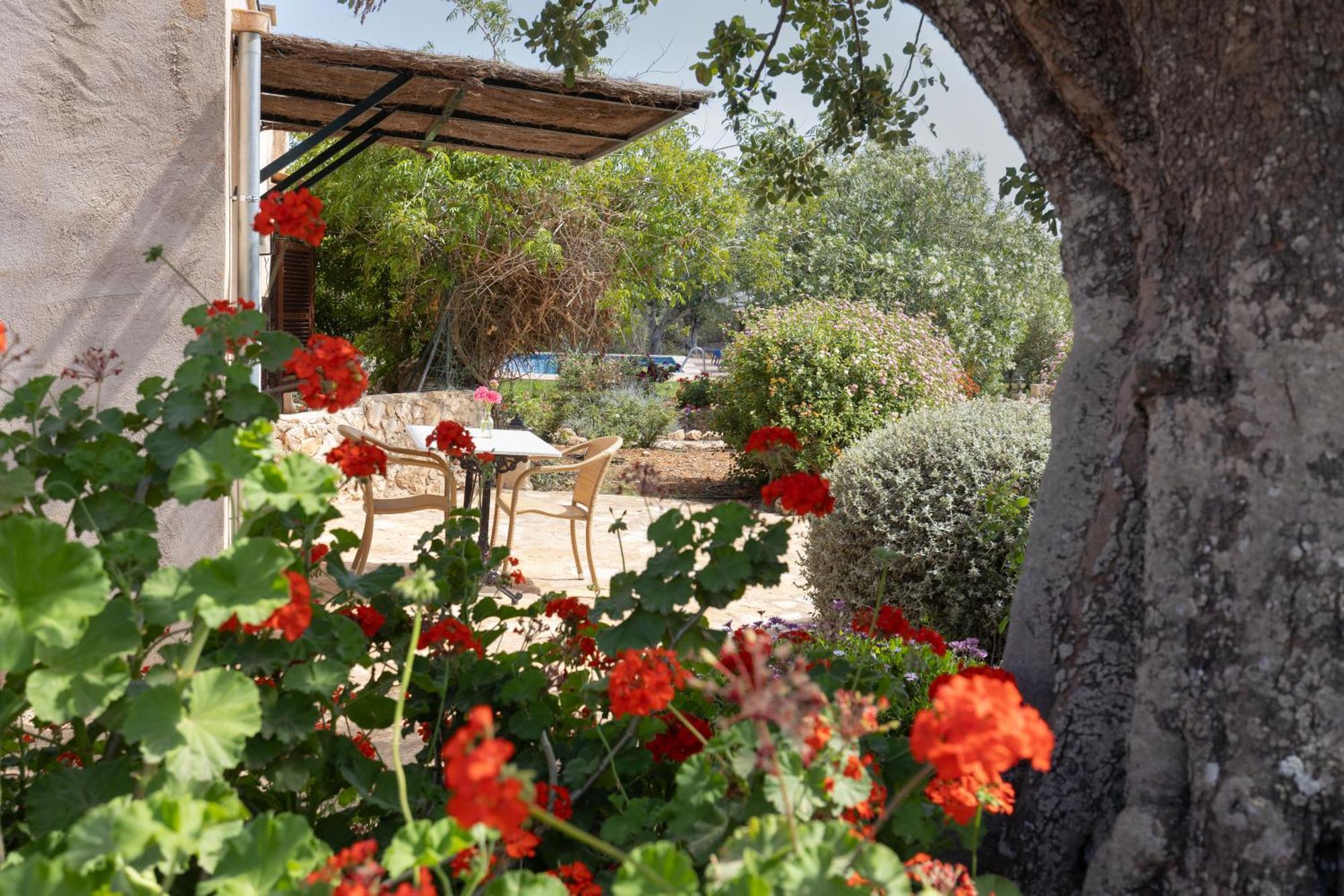 Studio Terrace Garden View