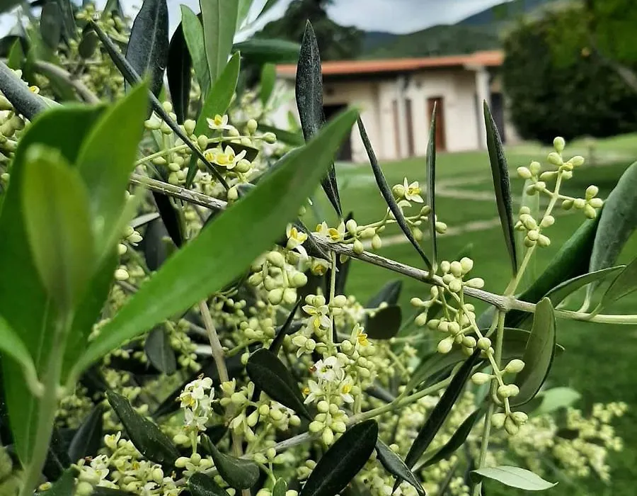 AgriturismoValbona-1