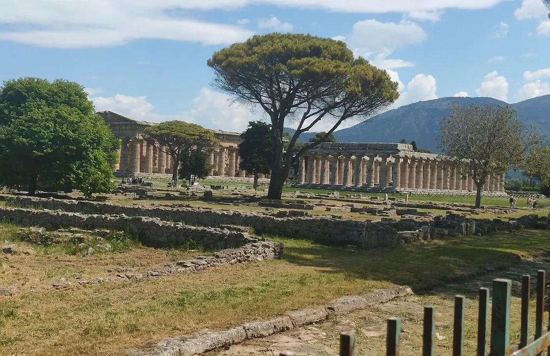 Il Giardino Di Athena-1
