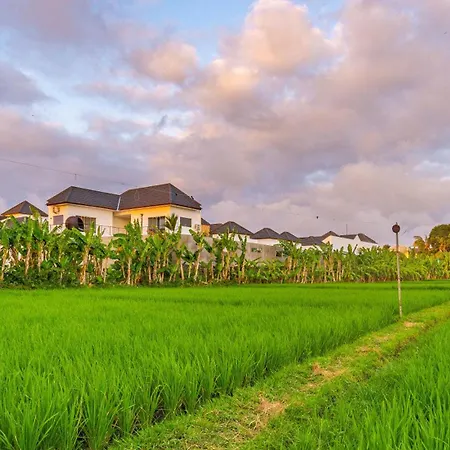 Hedonia Villas Seminyak-2