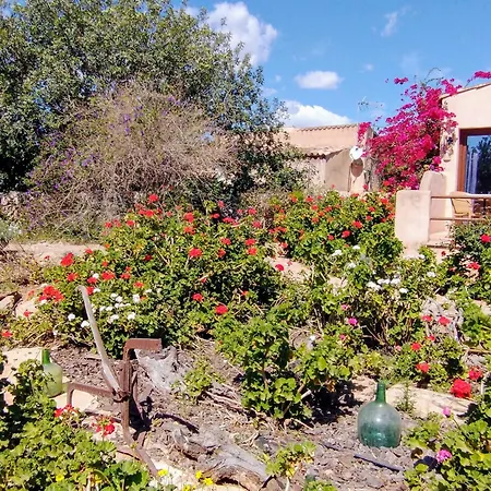 Finca Son Marimon - Adults Only-2