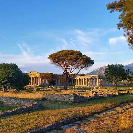 Il Giardino Di Athena-2