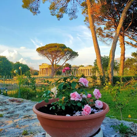 Il Giardino Di Athena-3