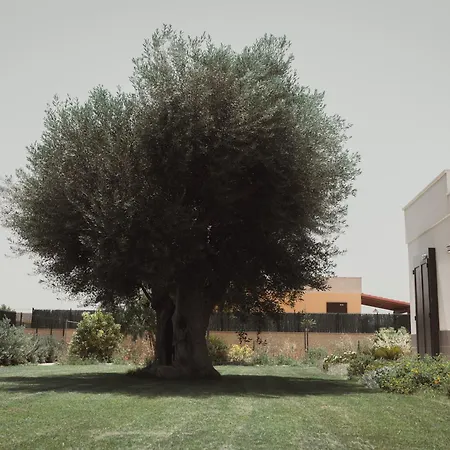 Masseria Gravame-3