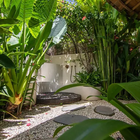 Bandido Bali-3