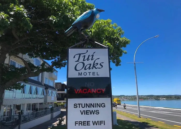Tui Oaks