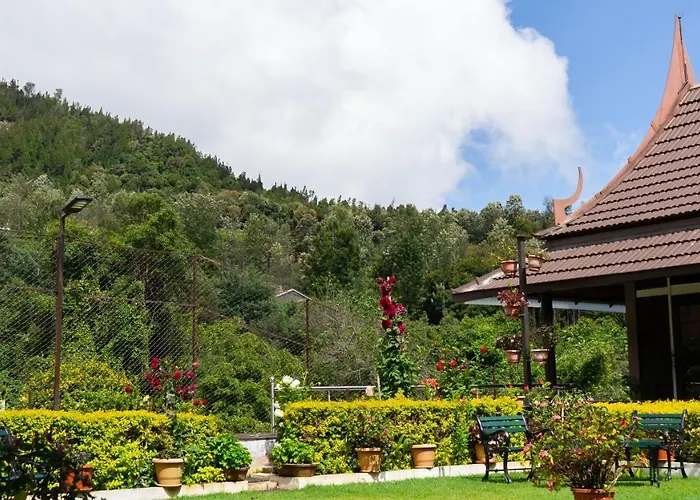 Radosri