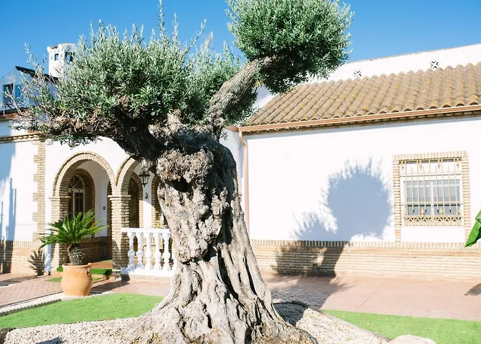 Casa rural El Olivo de Córdoba