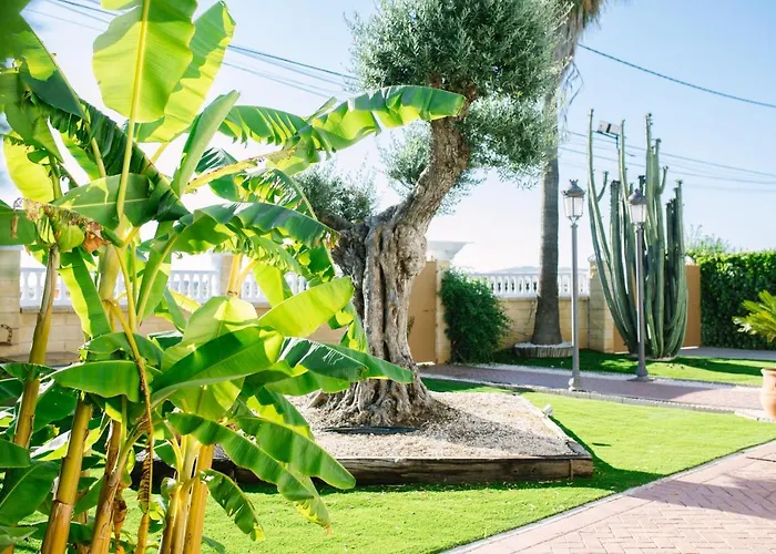 Casa rural El Olivo de Córdoba