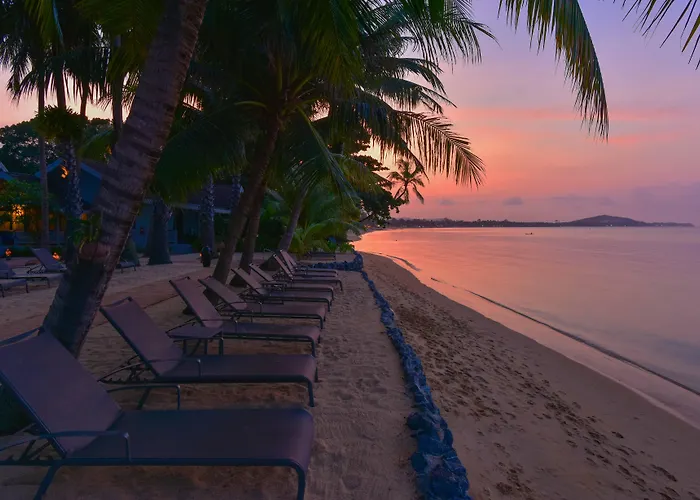 Resort: Paradise Beach Resort, Koh Samui