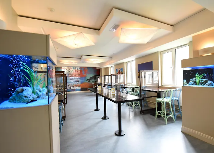 Hotel near College: Kinlay Hostel Eyre Square - Best Hostel In Ireland 2025