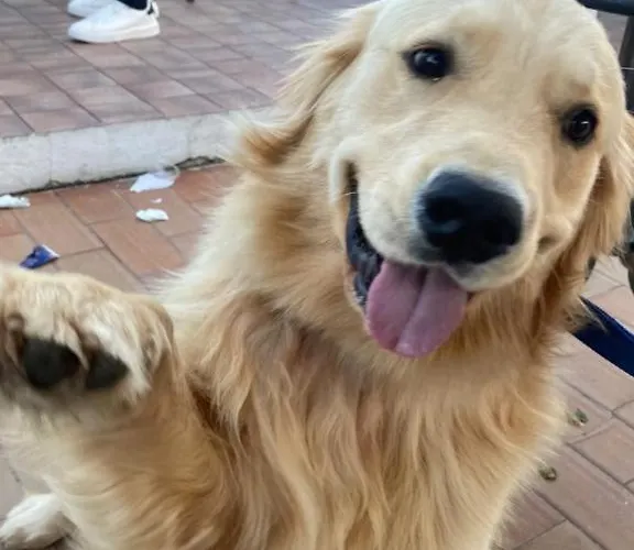 Villa privata: Agriturismo Biologico Sant'Andrea