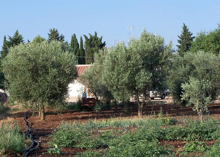 Agriturismo Il Pavone