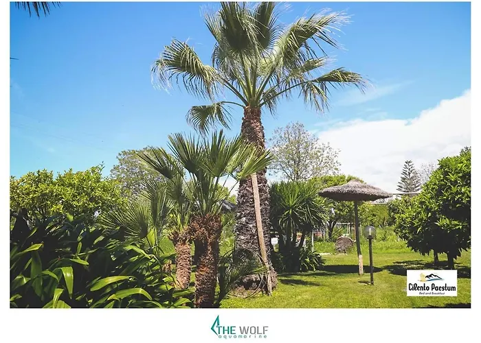 B&b Cilento Paestum