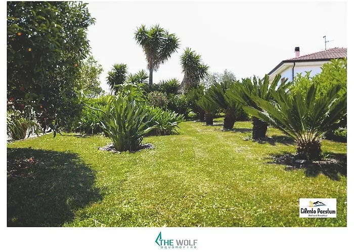 B&b Cilento Paestum