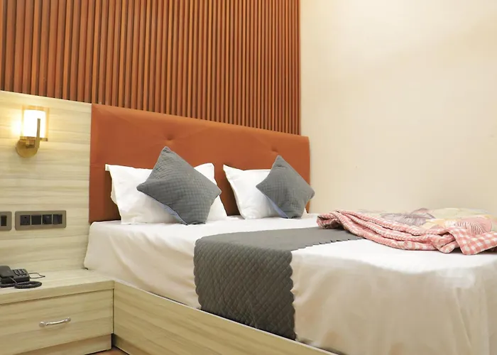Pet Friendly hotel: The Amritsar View Near Golden Temple