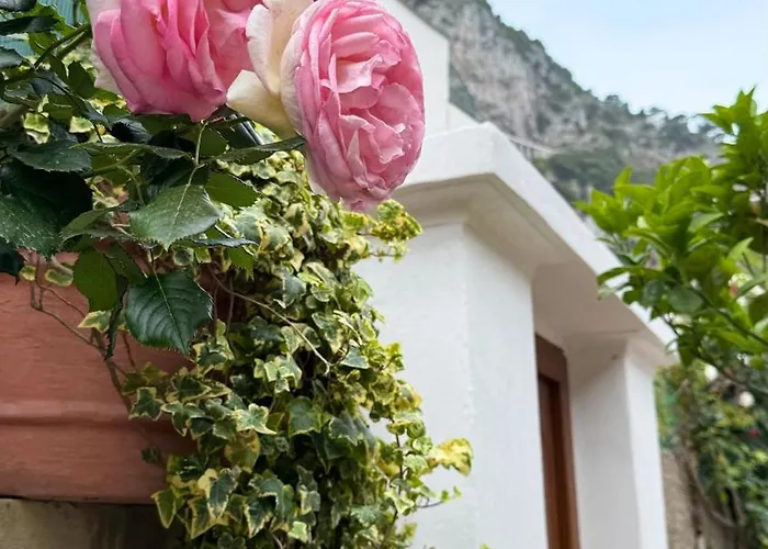Albergo centrale: Il Cigno B&B