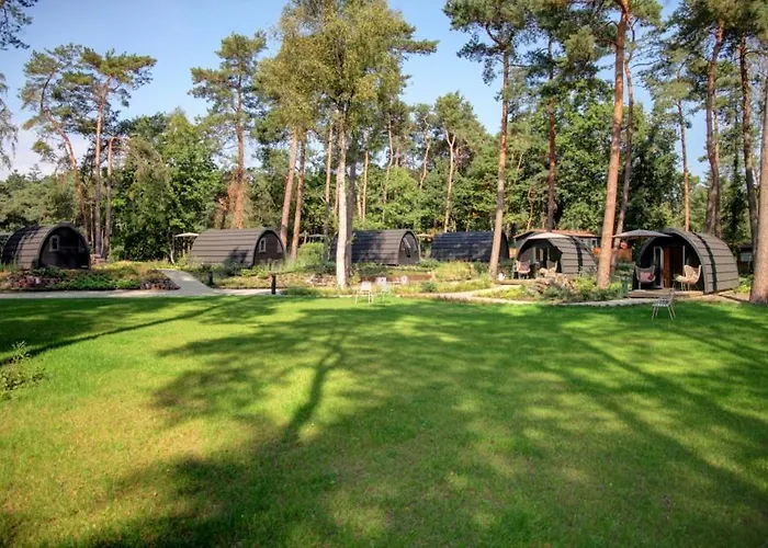  Kampinastaete