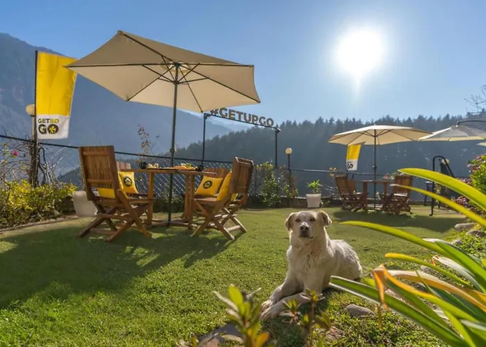 Hostel: The Hosteller Manali, Old Manali
