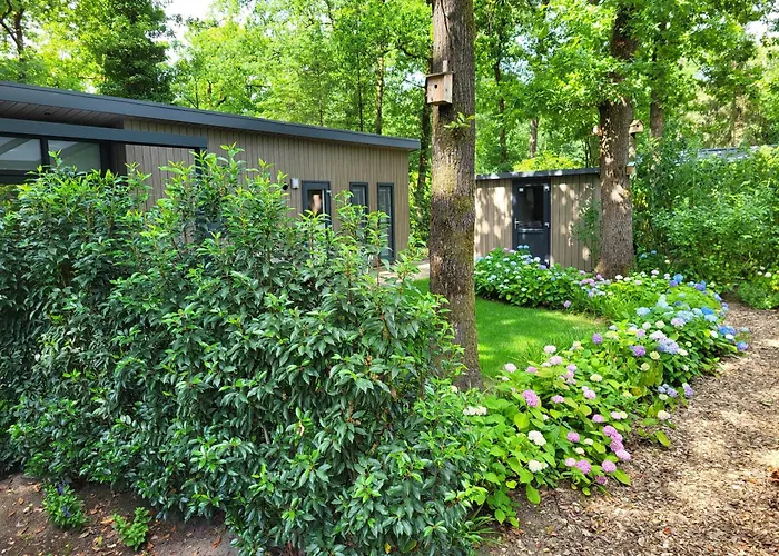Knus Chalet met boszicht op Vakantiepark Bonte Vlucht - vlak bij Utrechtse Heuvelrug