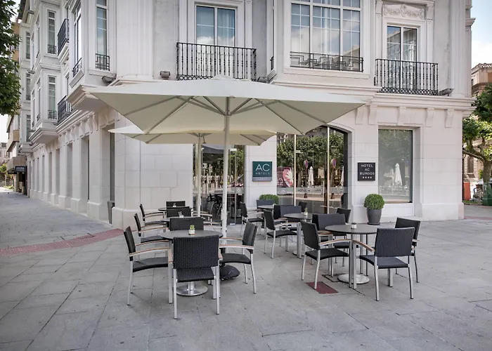 Hotel que admite mascotas: Ac Hotel Burgos By Marriott