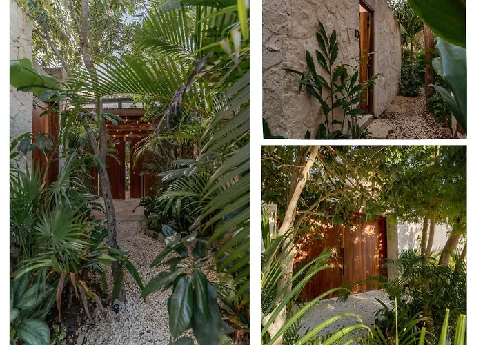 Hotel que admite mascotas: Entorno Tulum - Luxury Villas
