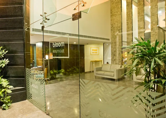 Bloom - Indiranagar