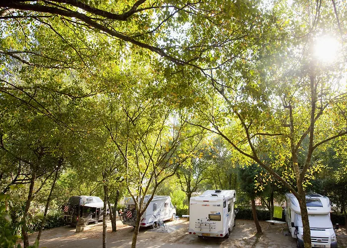 Camping: Camping As Cancelas