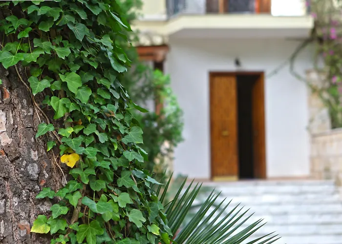 Hotel con vista: B&B Viale dei Pini