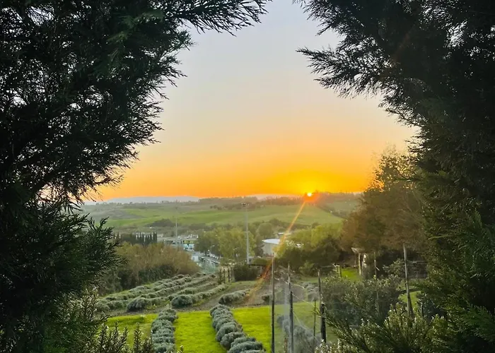 Casa vacanze: Il Lavandeto - Farmhouse In The City