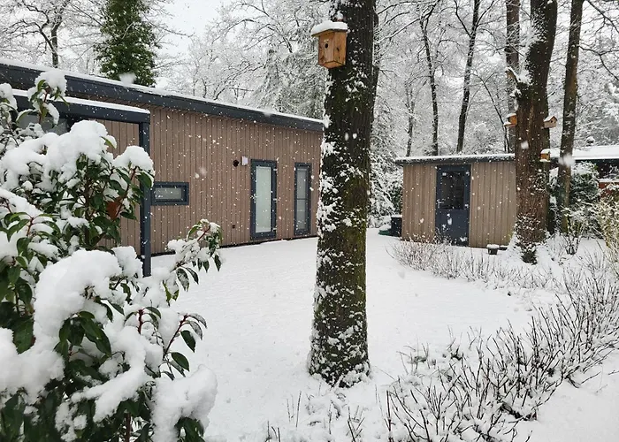 Knus Chalet met boszicht op Vakantiepark Bonte Vlucht - vlak bij Utrechtse Heuvelrug