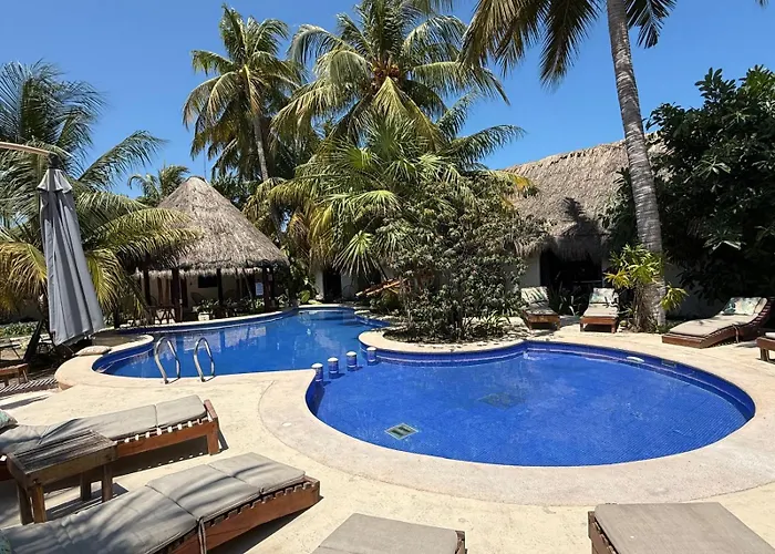Mayan Mittoz
