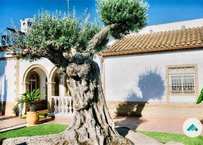 Casa rural El Olivo de Córdoba