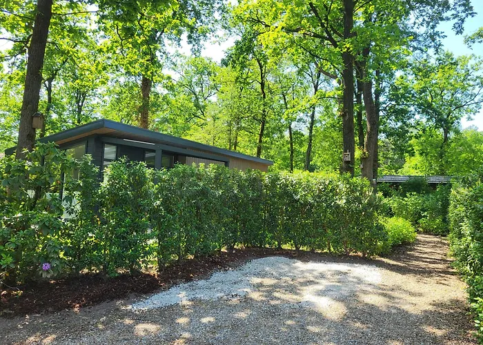 Knus Chalet met boszicht op Vakantiepark Bonte Vlucht - vlak bij Utrechtse Heuvelrug