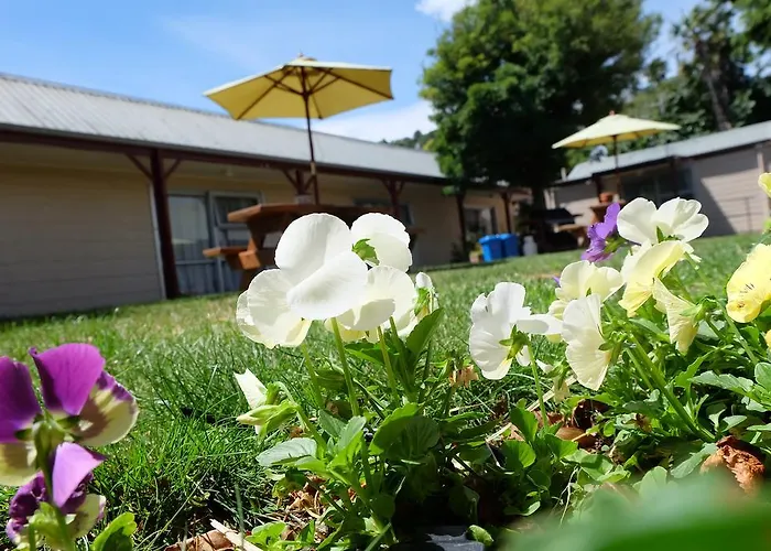 3 star hotel: Driftwood Motel