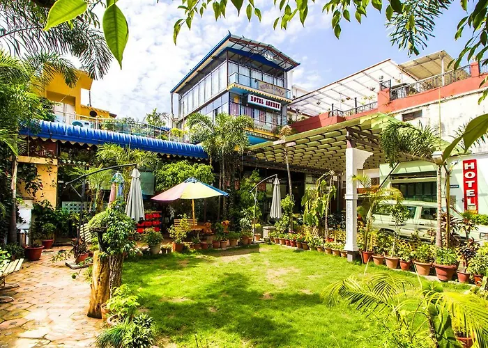 Pet Friendly hotel: Hotel Ashrey
